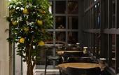 Туры в отель Limon Inn Hotel