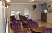 Туры в отель Pelit Boutique Hotel