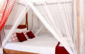 Туры в отель Green Hut Nature Resort