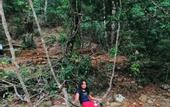 Туры в отель Castle palace kandy