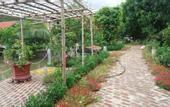 Туры в отель Tam Coc Green Garden Bungalow