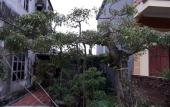 Туры в отель Tamcoc White Swan Hostel