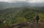 Туры в отель Kandy Victoria Eco Resort