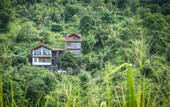 Туры в отель Kandy Victoria Eco Resort