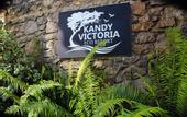 Туры в отель Kandy Victoria Eco Resort