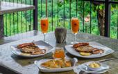 Туры в отель Kandy Victoria Eco Resort