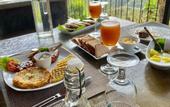 Туры в отель Kandy Victoria Eco Resort