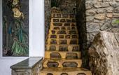 Туры в отель Kandy Victoria Eco Resort