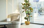 Туры в отель 86 By Katipoglu Hotel