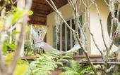 Туры в отель Purana Resort Koh Yao Noi