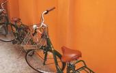 Туры в отель The Mansion Hoi An by Minova