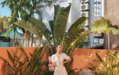 Туры в отель The Mansion Hoi An by Minova