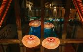 Туры в отель Adesa Bungalow Hotel