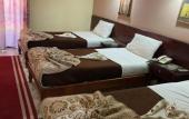 Туры в отель hotel shady