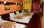 Туры в отель hotel shady