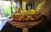 Туры в отель Adil Villa and Resort