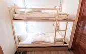 Туры в отель The Million Hostel 19