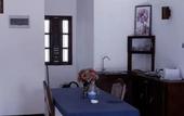 Туры в отель Royal Beach Villa