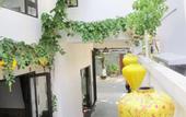 Туры в отель Annie Danang Hotel & Apartment