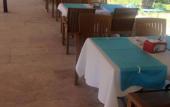 Туры в отель The Palm Club Apart Otel
