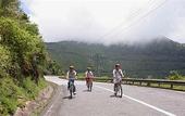 Туры в отель Green Plaza