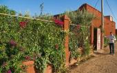 Туры в отель Riad Sidi Hicham