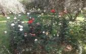 Туры в отель Riad Sidi Hicham