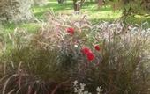 Туры в отель Riad Sidi Hicham