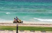 Туры в отель Royal Sea View