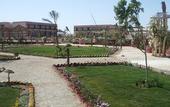 Туры в отель Green Village