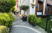 Туры в отель 12 Rooms Boutique Hotel