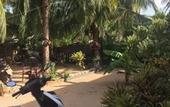 Туры в отель onelove hostel
