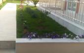 Туры в отель Can Apart Otel