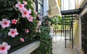 Туры в отель Petrino Gokceada Hotel & Kitchen