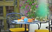 Туры в отель Petrino Gokceada Hotel & Kitchen
