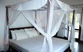 Туры в отель Boutique Villa Shanthi