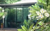 Туры в отель Villa Navin Premier Pool Villa