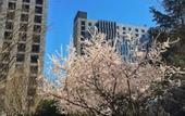 Туры в отель Beijing Yilejia Apartment