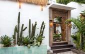 Туры в отель Metisse Villa