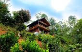 Туры в отель Top Mountain Resort