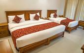 Туры в отель Hotel Cassendra