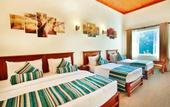Туры в отель Hotel Cassendra