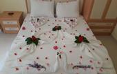 Туры в отель Hotel NilSu
