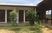 Туры в отель Summer Cottage