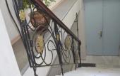 Туры в отель Hotel Griboedov