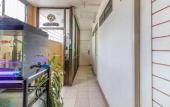 Туры в отель OYO 583 Sweethome Guest House