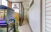 Туры в отель OYO 583 Sweethome Guest House