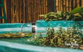 Туры в отель Time Sabai 134 Hostel