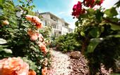 Туры в отель Belaya Iva Hotel