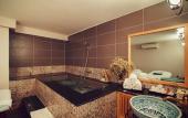 Туры в отель Mayflower Saigon Hotel